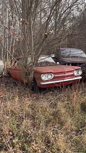 Restoring an ABANDONED Chevy Corvair! #wddetailing #detailing #carwash #carcleaning #satisfying #oddlysatisfying #satisfyingvideos #asmr #asmrvideo #steamcleaning #carseat #cardetailing #detailingcars #valeting #carvaleting #detailingworld #detailingaddicts #detailingboost #carwashing #interiordetailing #carwashgram | Scrub