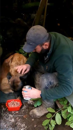 Survival Skills: Cooking and Building in the Forest #camping #outdoors
