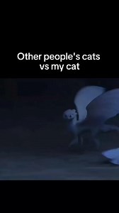 They do be silly billy sometimes 😂 Did you Know that Cats can distinguish between human emotions. | BMW matrix