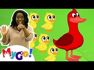 Five Little Ducks | MyGo! Sign Language For Kids | @MorphleTV | ASL