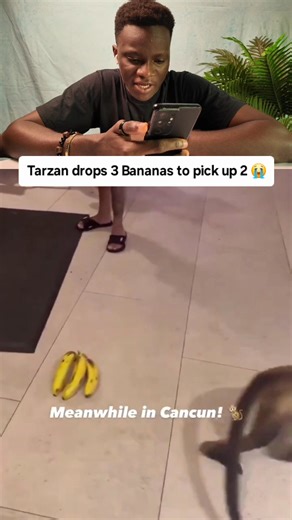 😂This monkey didn't read the full Jungle book description about Banana Theft #usa | Pot Nature