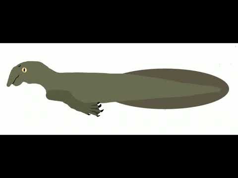 All Today's Dugong Sound Effects