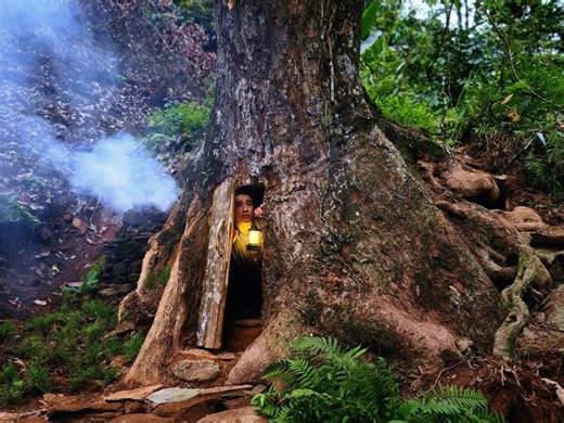 【放松、沉浸式】大树里面搭造野外庇护所