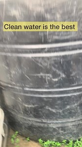 How to change water while using this white fish tank full tutorial for beginners. | Fish king