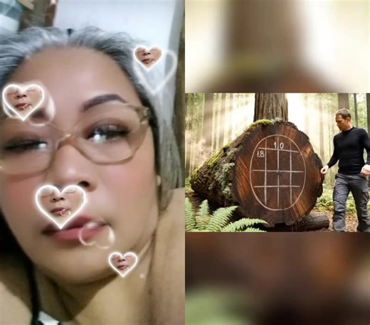 #duet with @Frog New #treehouse