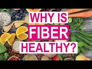 What makes Fiber Healthy? The Science behind Short-Chain Fatty Acids