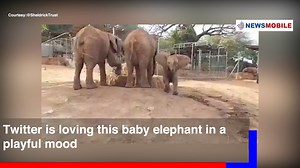 #WATCH | NewsMobile Trend Map: A Round-up Of All The Trending Stories #TrendingStories #Viral #ViralStories #TrendsMap #TrendingVideos #Tuesday #BAFTA #AnupamKher #ARRahman #MiraNair #COVID19 #VaccineFor18Plus | NewsMobile | Facebook