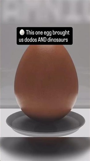 How One Egg Secretly Changed the History of Life