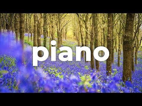 🎹 Piano Instrumental (Free Music) - "Instructions For Living A Life" by @SavfkMusic 🇮🇹 🇬🇧