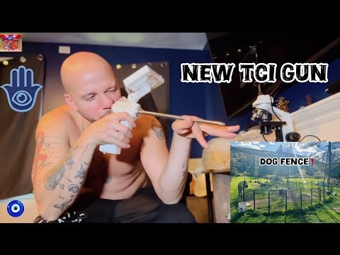 What's the difference between a AI and a TCI? (NEW DOG FENCE)