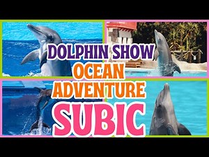 “Ocean Adventure live dolphin performance”