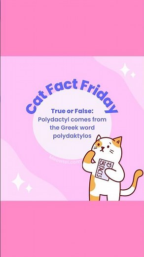 Where does the name polydactyl come from? 💅
