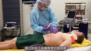 ATLS教学：创伤床旁超声FAST检查(英文视频 中文字幕)