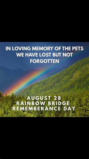 12K views · 371 reactions | August 28 is Rainbow Bridge Remembrance Day This annual observance is a time to honor and remember the beloved pets who have passed on and crossed the Rainbow Bridge. We invite you to join us in commemorating this day by sharing memories, photos, poems, or other tributes to your cherished animal companions. #RainbowBridgeRemembranceDay #RainbowBridge  #InLovingMemory #ForeverInOurHeart❤️ #PetRemembrance | Pets Alive | Facebook