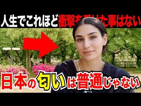 「日本についてから一番驚いたことは匂い」外国人観光客にインタビュー｜ようこそ日本へ！Welcome to Japan!【海外の反応】