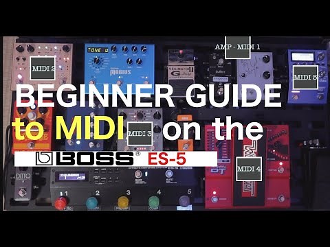 Beginner's Guide to MIDI on the BOSS ES-5 (Amp Channel, Pedal Presets and Expression Pedal)