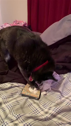 Jason Dearth (@jdearth79)’s videos with Oh No - Kreepa