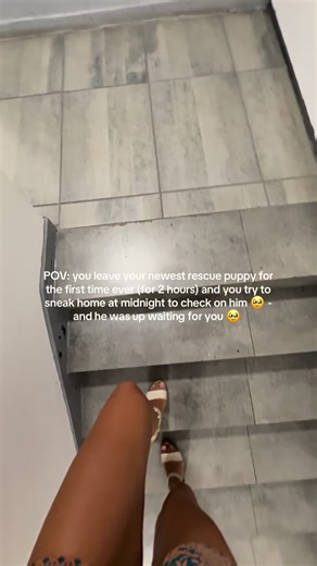 Building Trust with Your Rescue Puppy