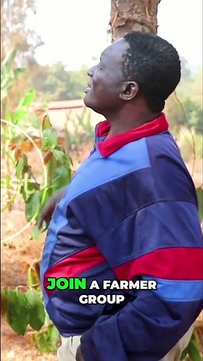 Passion Fruit Farming: Expert Tips for a Bountiful Harvest!