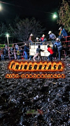 4.9K views · 78 reactions | ‼️ES UN EX DESTRUCTOR‼️QUE MANERA IMPRESIONANTE, DE DARLE PISO AL JINETE  CHINGONZASO ✝️諾 UN TORO NACIDO Y CRIADO EN LAS CORRALETAS DE JULIANTLA GUERRERO CON LOS DESTRUCTORES DE MEMO OCAMPO LA NUMERO #1 EN Chimala Huatlatlauca Puebla  | Rancho Montecristo | Facebook