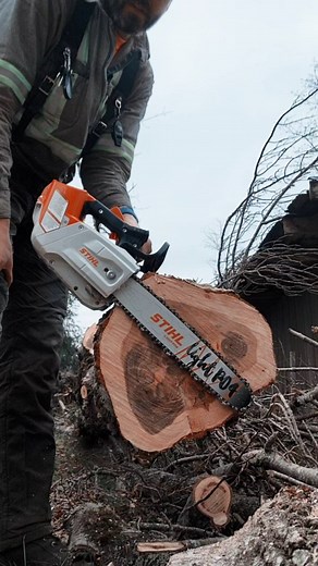 The key to battery saws is a sharp chain, and keep it in the power band. Let the saw do the work, don't try and push it through too hard. This is big wood for any top handle saw to be cutting, and the msa220tc got right after it. #mitchzenobitrees #educational #treework #treelife #treecutting #trees #lumberjack #arborist #stihl #chainsaw #msa220tc #samsung #newpost #pnw #olympicpeninsula #viral #reel #reels #reelinstagram #shorts #tutorial | Mitch Zenobi
