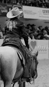 6.8K views · 176 reactions | The 2023 NCHA Metallic Cat World...