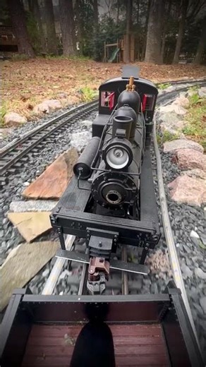 Three truck Shay POV action! #gscale #trains #modelrailroad #shay #steam #railroad #gardenrailroad