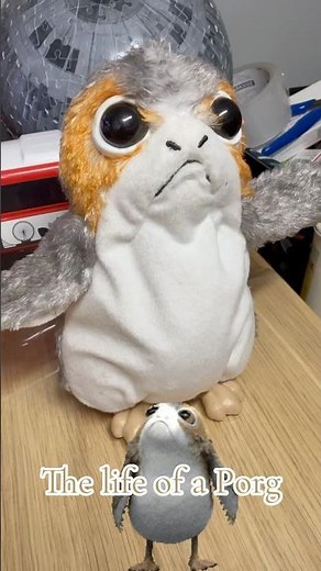 The life of a Porg #starwars #porg