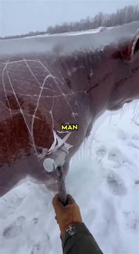 He Didn’t Walk Away 🐄🧊