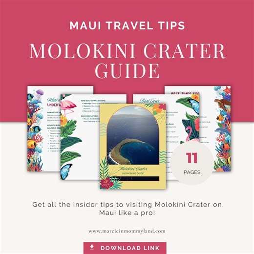 Molokini Crater Digital Guide, Maui Travel Tips, Snorkeling & Tour Info, Molokini Tips, Printable Maui Map and Itinerary, Instant Download - Etsy