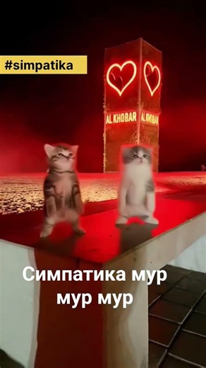 симпатика мур мур мур