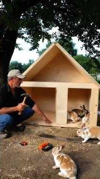 A Farmer Built a House for Two Rabbits… What Happened After DAYS Will SHOCK You 😱🐰 #ai #viral