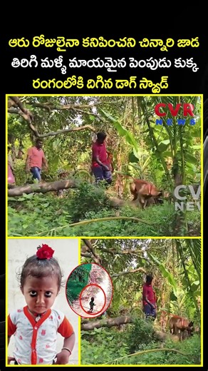 ఆరు రోజులైనా కనిపించని చిన్నారి జాడ తిరిగి మళ్ళీ మాయమైన పెంపుడు కుక్క రంగంలోకి దిగిన డాగ్ స్క్వాడ్