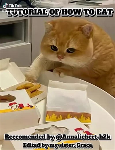 HOW TO EAT TUTORIAL | eating tips