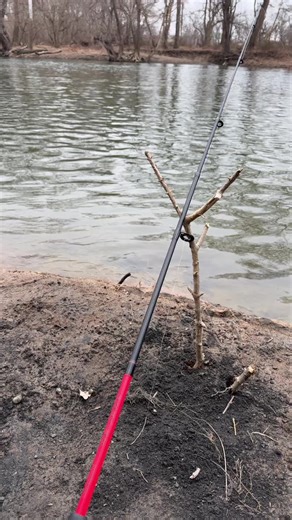 Bala (@balapele)’s videos with original sound - Bala