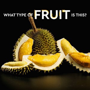 Do you know the answer? Take this quiz to test your cooking knowledge and get $50 over two boxes! | Blue Apron