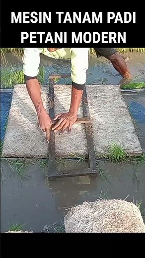 Petani Modern | Mesin tanam padi