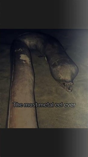 Terrifying Nature 🤯 #creepystories #terrifyingtales