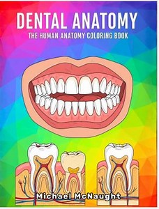 Dental Anatomy: the Human Anatomy Coloring Book - Etsy Canada