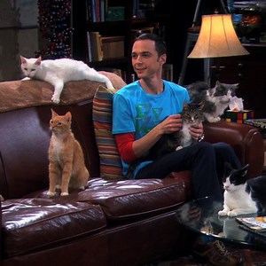 La chanson de The Big Bang Theory aurait été volée - Hollywoodpq.com