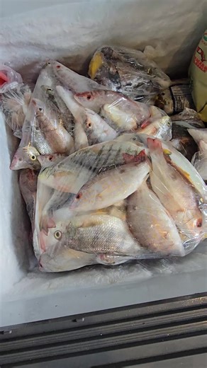 Fresh Seafood Pasta Delivery in Kingston