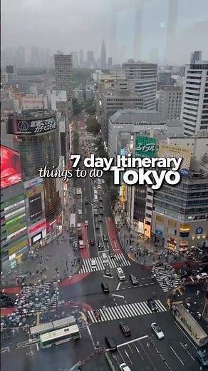 TOKYO GUIDE - things to do in Tokyo🗼🍣