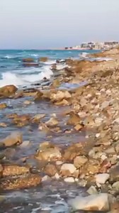 Misha Rosela on Reels