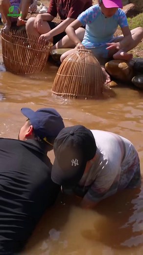 Trải Nghiệm Du Lịch Thú Vị Tại Làng Lá Đà Nẵng