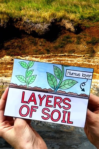Exploring Soil Layers: Fun Learning Activity for Kids