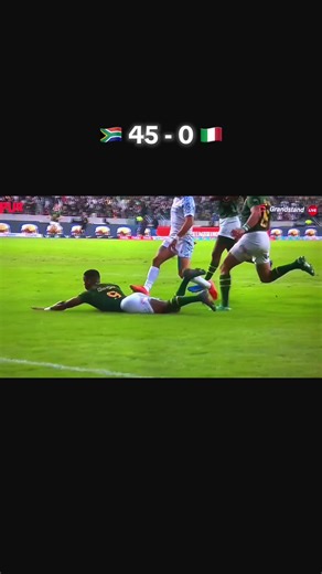 South Africa vs Italy Rugby Highlights: Springboks Win