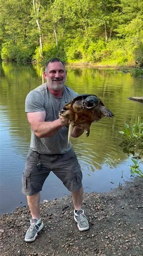 Catching a Snapping Turtle
