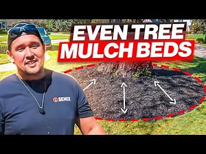 💯Perfect Circle Mulch Beds Around your Tree Using this Simple Trick💯