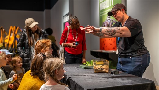 Kid-friendly spider exhibit opens at Peggy Notebaert museum: 'It's really not creepy'