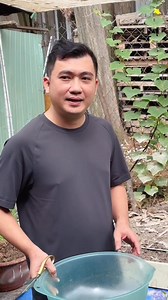 Thành quả sau 10 ngày làm vườn của thầy Dane có gì HOT 🥰 Tiến Sĩ Dane Truong | Lê Ngọc Thuý singer